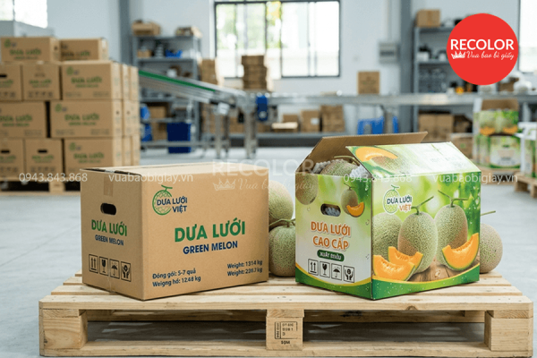 Thùng carton đựng dưa lưới sản xuất và in ấn theo yêu cầu 10 Các loại thùng carton đựng dưa lưới