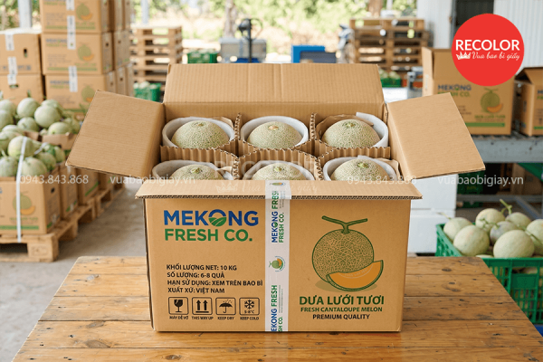 Thùng carton đựng dưa lưới sản xuất và in ấn theo yêu cầu 5 Tiêu chuẩn thùng carton đựng dưa lưới
