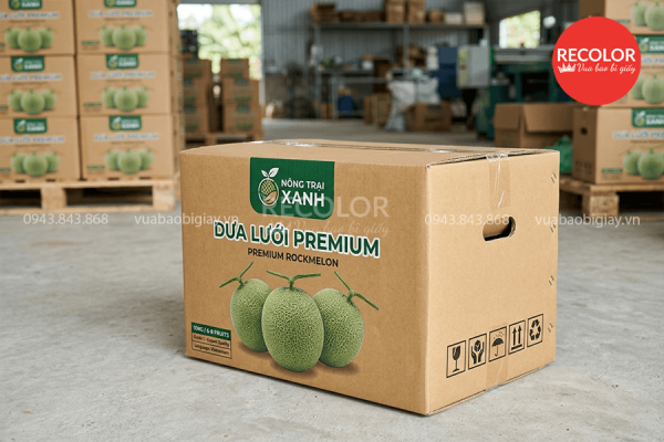 Thùng carton đựng dưa lưới sản xuất và in ấn theo yêu cầu 8 Các loại thùng carton đựng dưa lưới