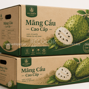 Thùng carton đựng mãng cầu - TCP104 9 Công nghệ in thùng carton đựng mãng cầu