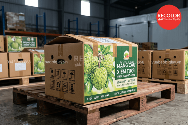 Kinh nghiệm lựa chọn thùng carton đựng mãng cầu phù hợp