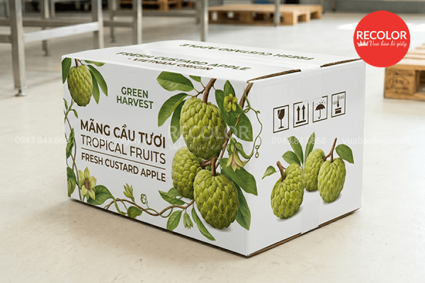RECOLOR - Nhà máy sản xuất thùng carton đựng mãng cầu uy tín, chất lượng