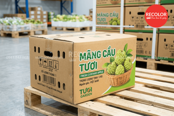 Lợi ích khi sử dụng thùng carton đựng mãng cầu