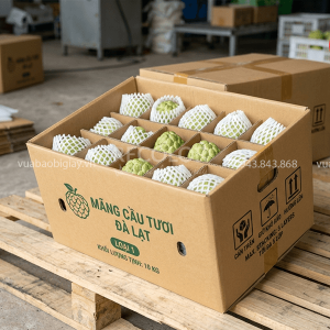 Kích thước thùng carton đựng mãng cầu