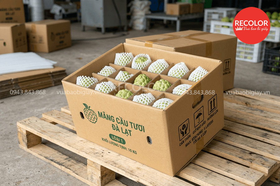 Thùng carton đựng mãng cầu - TCP104 2 Kích thước thùng carton đựng mãng cầu