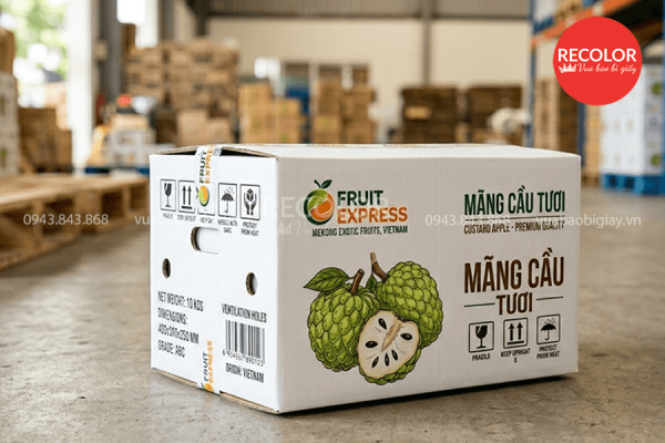 Cấu tạo và chất liệu giấy của thùng carton đựng mãng cầu