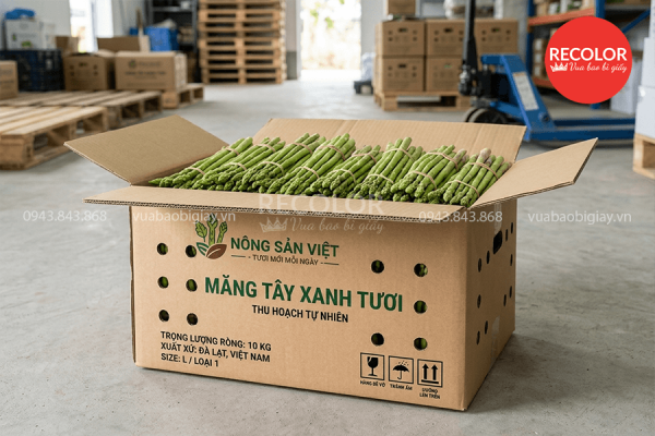 Lợi ích khi sử dụng thùng carton đựng măng tây