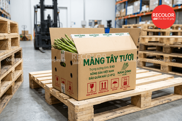 Lưu ý gì khi tìm nơi đặt mua thùng carton đựng măng tây