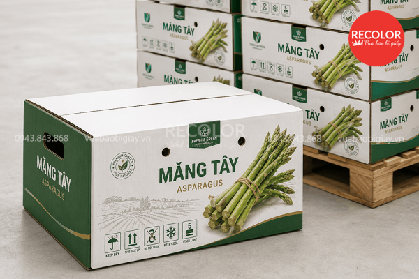 Lưu ý gì khi tìm nơi đặt mua thùng carton đựng măng tây