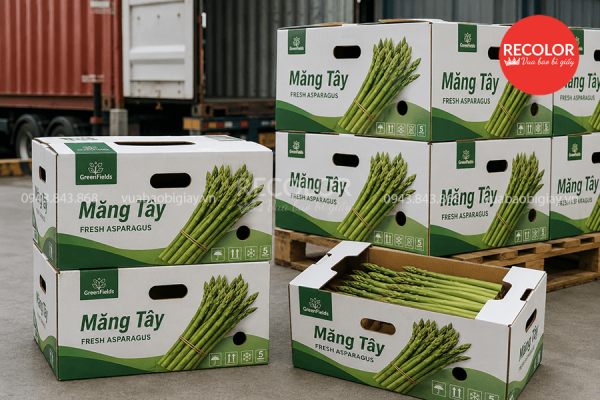 Về kiểu dáng và kích thước