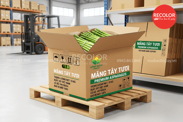 Quy cách sản xuất thùng carton đựng măng tây