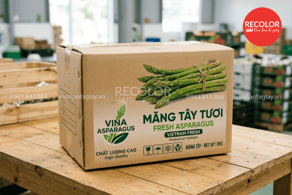 Về kiểu dáng và kích thước