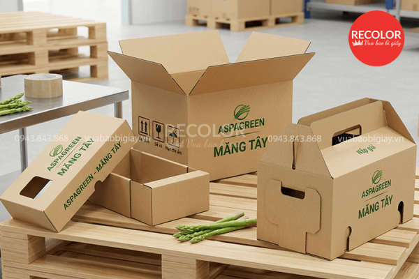 Về kiểu dáng và kích thước