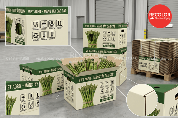 Quy trình sản xuất và in ấn thùng carton đựng măng tây