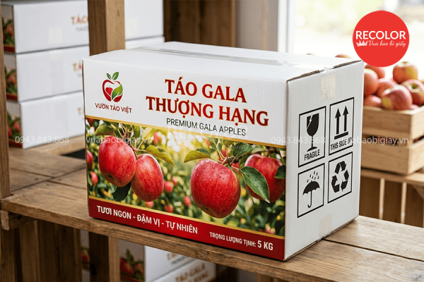 RECOLOR - Nhà máy sản xuất thùng carton đựng táo chất lượng, uy tín