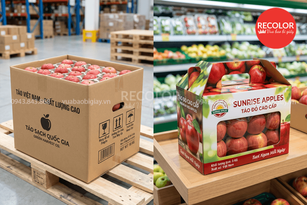 Kích thước thùng carton đựng táo xuất khẩu thường gặp