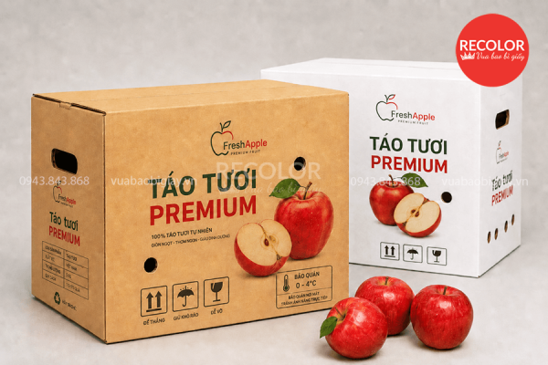 Chất liệu giấy sử dụng
