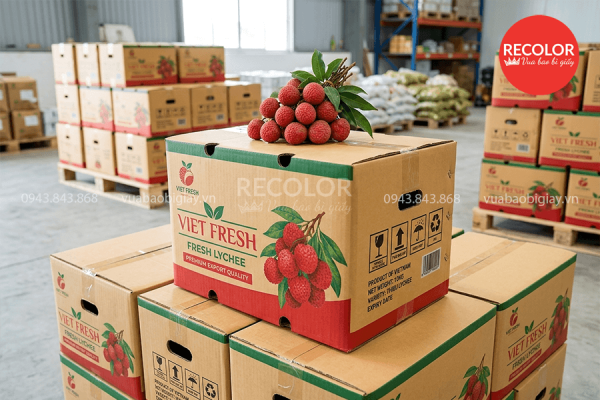 Thùng carton đựng vải xuất khẩu sản xuất và in ấn theo yêu cầu 2 Nhu cầu sử dụng thùng carton đựng vải xuất khẩu hiện nay