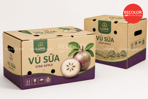 Quy trình sản xuất thùng carton đựng vú sữa xuất khẩu