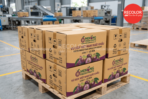 RECOLOR - Nhà máy sản xuất thùng carton đựng vú sữa xuất khẩu uy tín