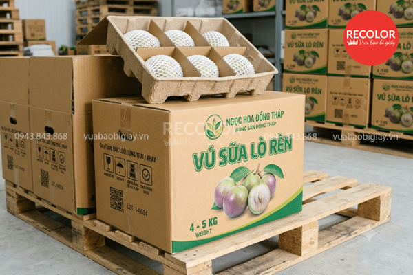 Các yếu tố đánh giá thùng carton đựng vú sữa xuất khẩu đạt chuẩn