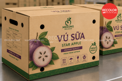 Thùng carton đựng vú sữa xuất khẩu đạt chuẩn