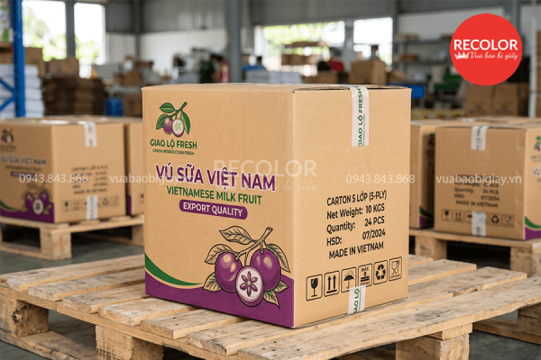 Chất liệu giấy dùng cho thùng carton đựng vú sữa xuất khẩu