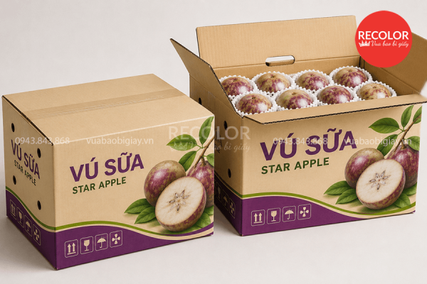 Cấu tạo và kích thường thùng carton đựng vú sữa.