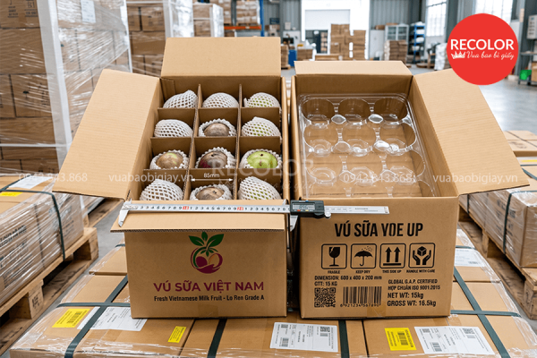 Cấu tạo và kích thường thùng carton đựng vú sữa.