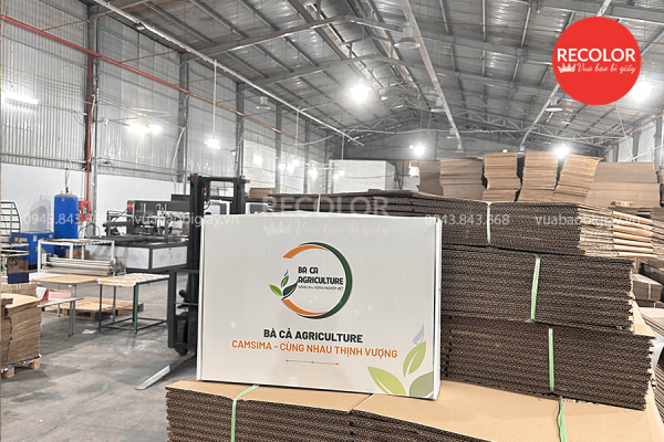 Quy trình in hộp carton theo yêu cầu chuyên nghiệp
