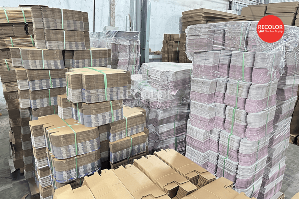 Quy trình in hộp carton theo yêu cầu chuyên nghiệp