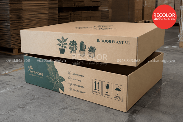 Ưu điểm và ứng dụng của thùng carton âm dương
