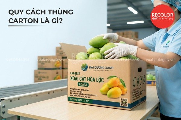 Quy cách thùng carton là gì?