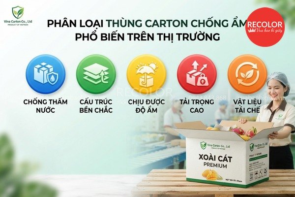 phân loại thùng carton chống ẩm