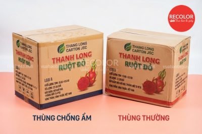 thung carton chong am 05 Copy