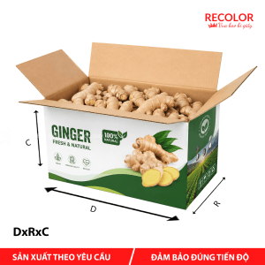 Thùng carton đựng gừng tươi – TCP101