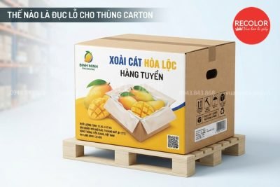 Đục lỗ thùng carton là gì? Tổng quan và mục đích gia công