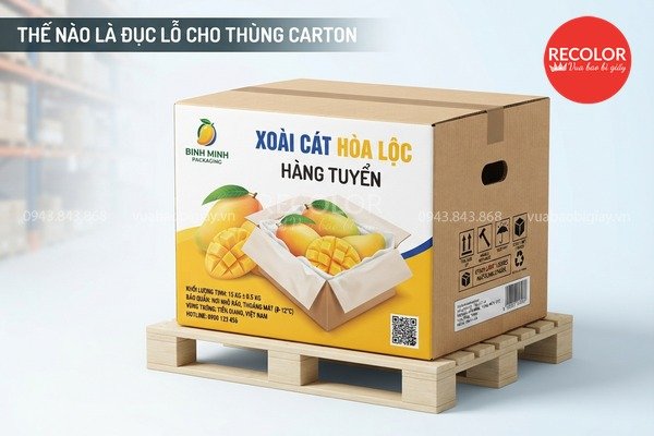 Đục lỗ thùng carton là gì? Tổng quan và mục đích gia công