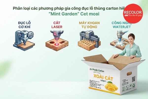 Phân loại các phương pháp gia công đục lỗ thùng carton hiện nay