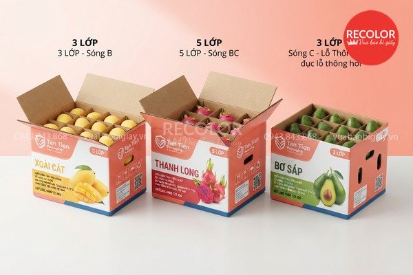 So sánh các phương pháp đục lỗ thùng carton phổ biến