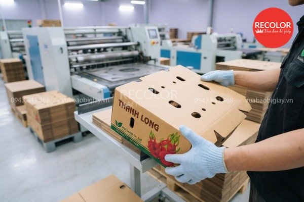 Quy trình gia công bế đục lỗ thùng carton chuẩn kỹ thuật
