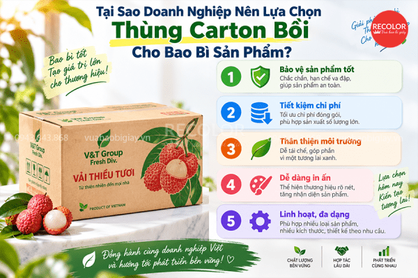 Tại sao doanh nghiệp nên lựa chọn thùng carton bồi cho bao bì sản phẩm?